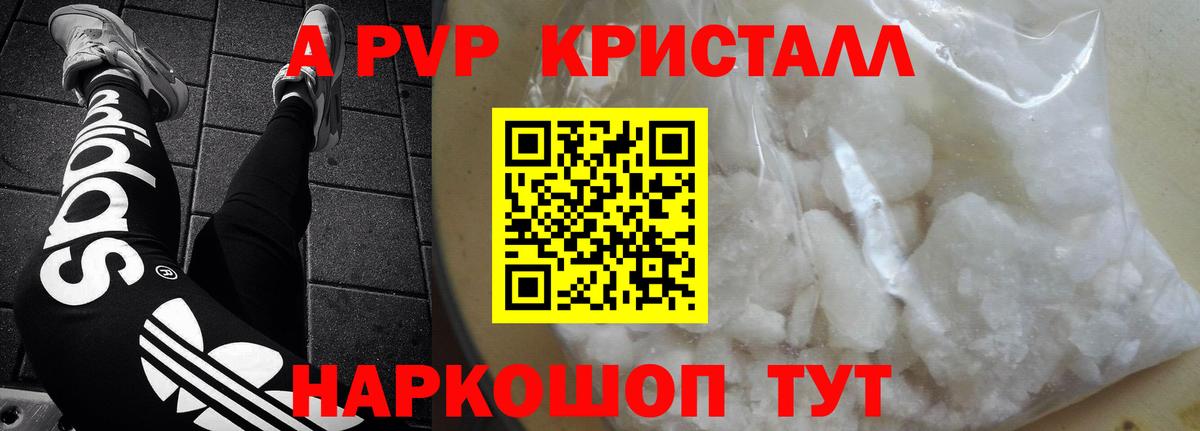 Alpha PVP СК КРИС Нальчик