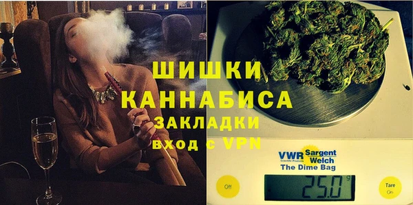 индика Нефтегорск