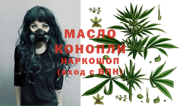 индика Нефтегорск