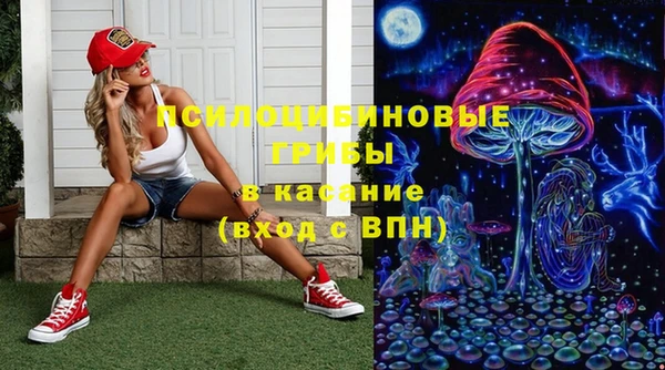 индика Нефтегорск