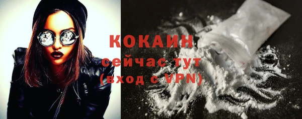 индика Нефтегорск