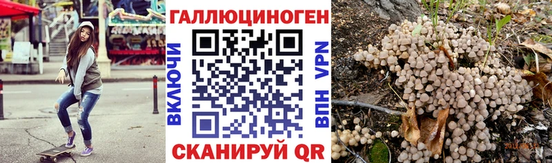 Псилоцибиновые грибы мухоморы Нальчик
