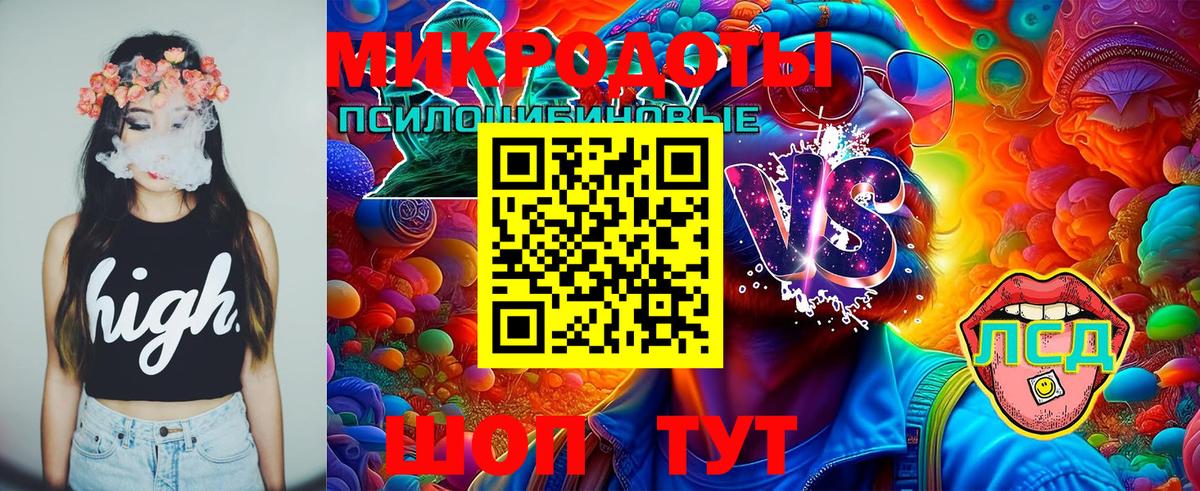 Галлюциногенные грибы Magic Shrooms Нальчик