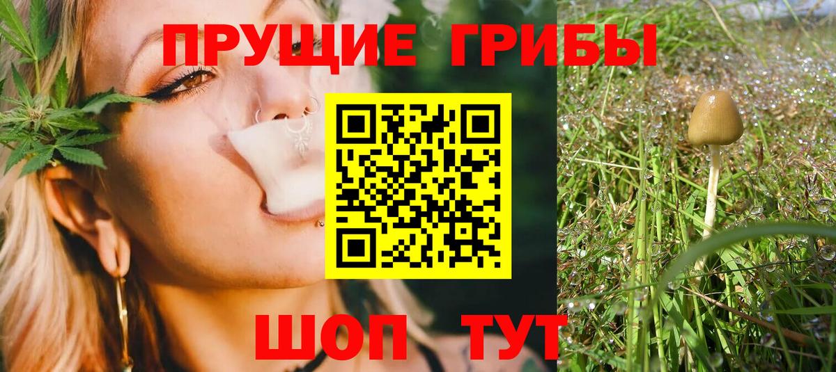 Галлюциногенные грибы MAGIC MUSHROOMS  Псилоцибиновые грибы MAGIC MUSHROOMS  магазин продажи наркотиков  Нальчик  Вход с VPN 